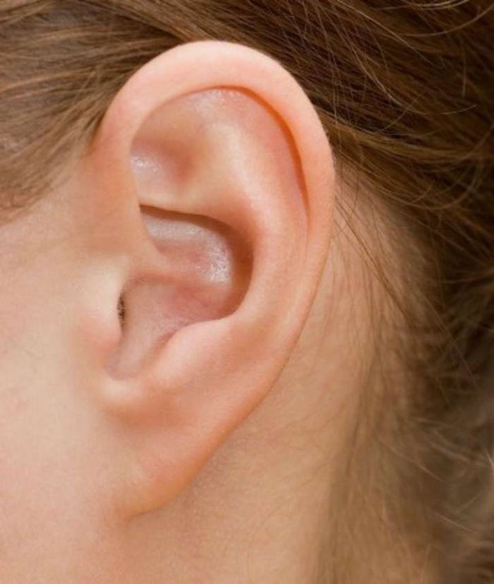 Types of ears and personality - pointed ears