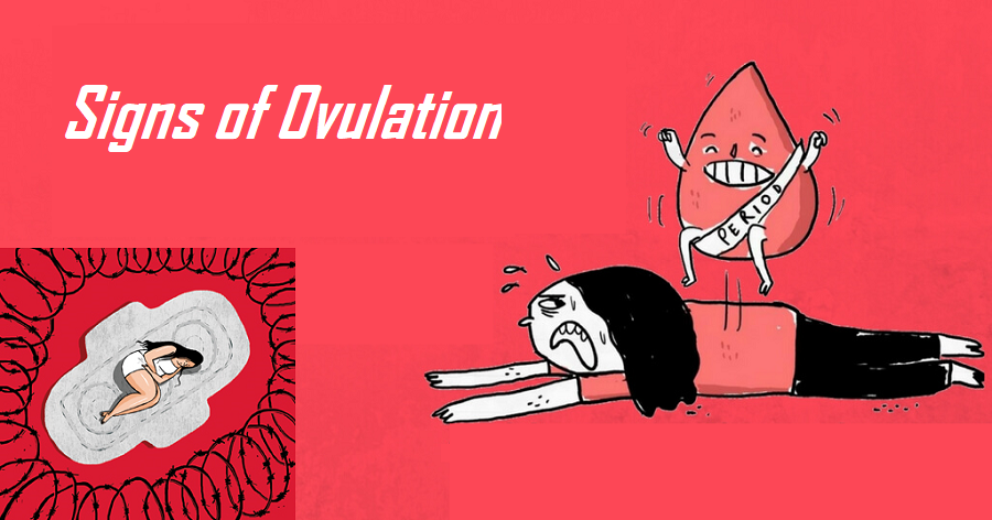 Signs of ovulation
