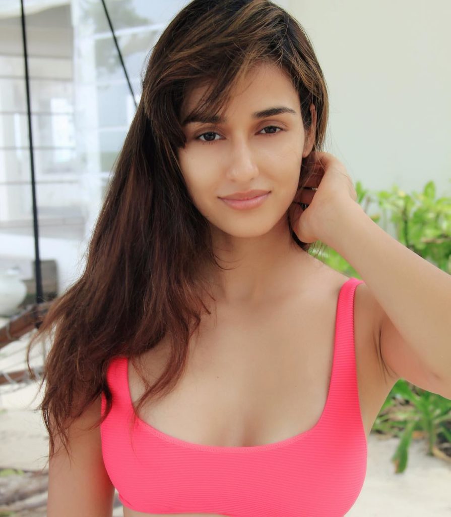 Disha Patani is so cute that is supported by her looks in this picture. 